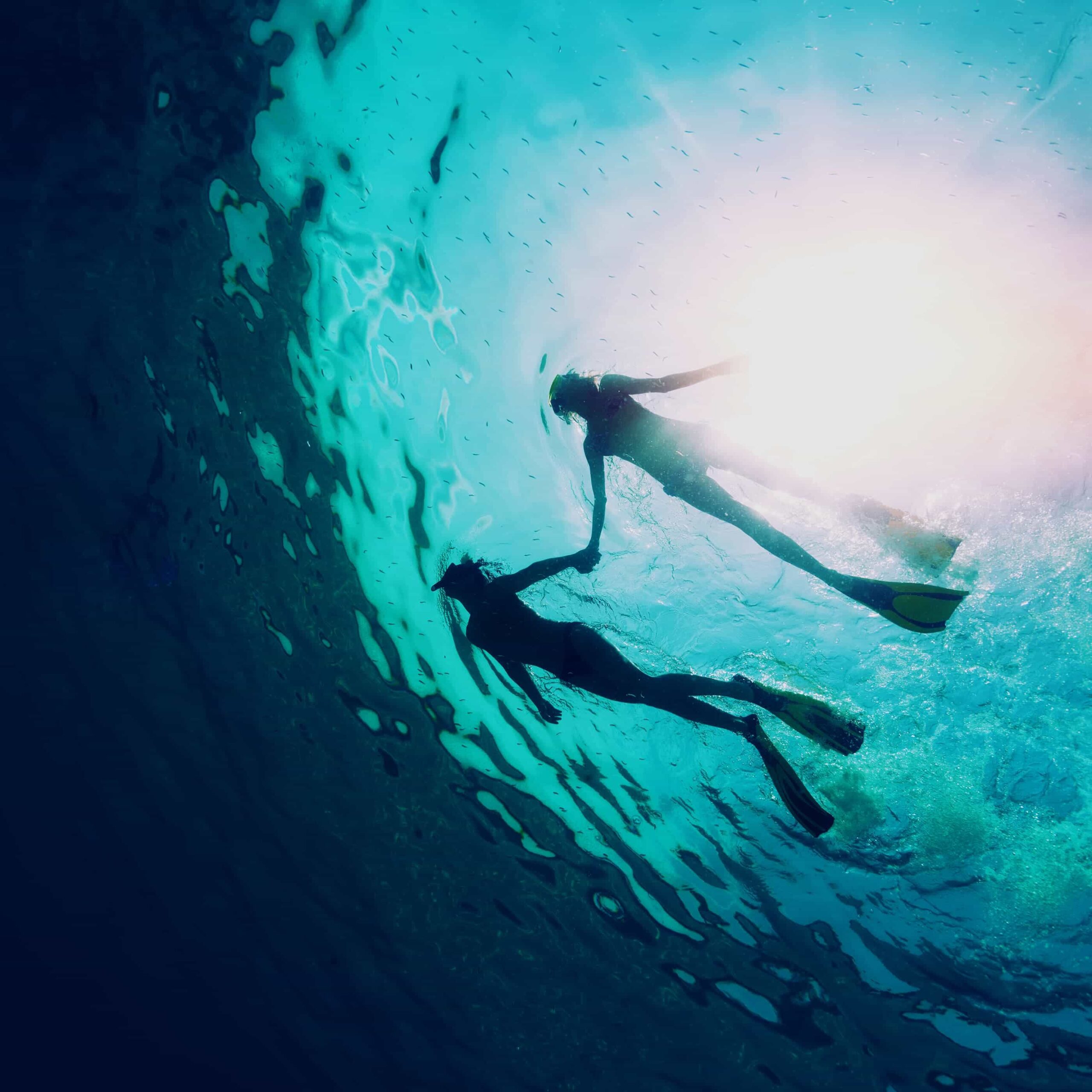 Uscita in gommone e snorkeling alla scoperta del Faro di Vada